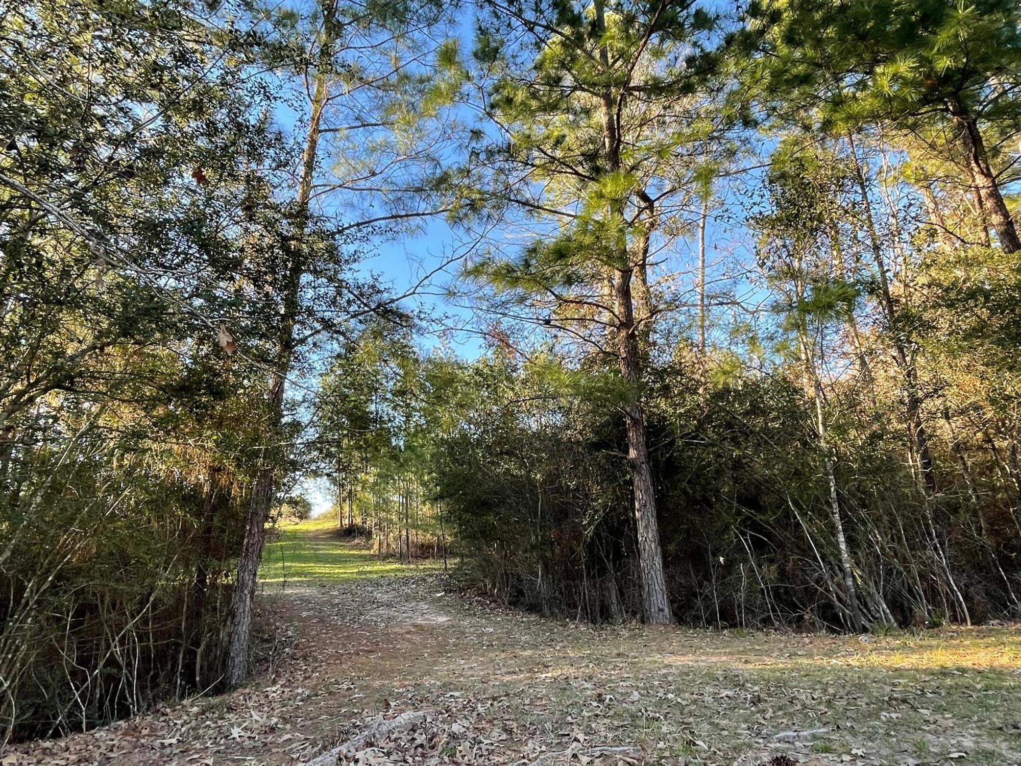 Country Getaway 4 Bedroom Resort In 10 Acre Lot Magnolia Extérieur photo